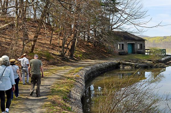 Guided Landscape Walk of Staatsburgh's Grounds: What You See and What You Don't See